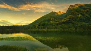 Become a Tour Guide in 12 Steps: The Super Easy Way